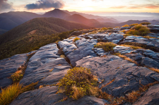 Mount Arthur, Kahurangi National Park