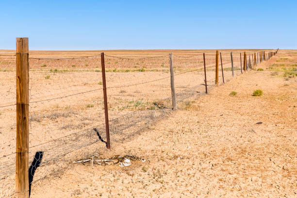 istock The Dog / Dingo Fence 1332565755
