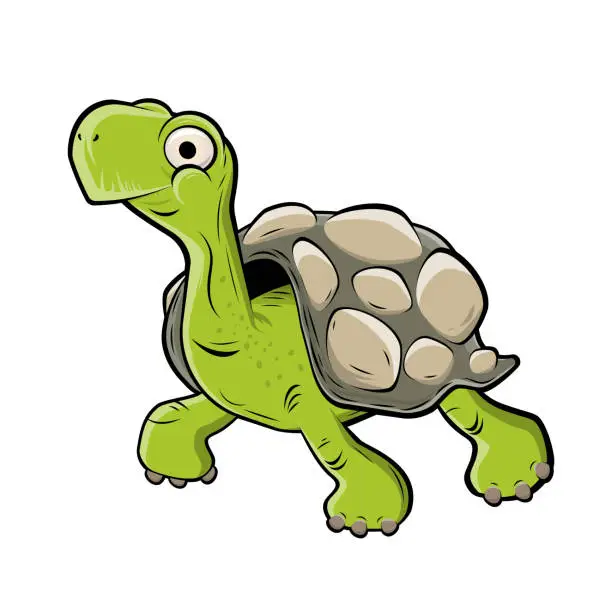 Vector illustration of funny cartoon turtle vector illustration