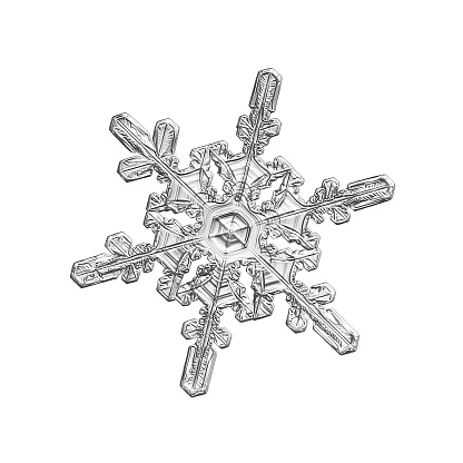 Snowflake isolated on white background. Macro photo of real snow crystal: elegant stellar dendrite with hexagonal symmetry, glossy 3D surface and six flat, fragile arms with complex details.