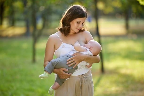 Breastfeeding in public park,  young mother gives her baby breast while walking. Young mother is breastfeeding her baby in public place. suckling stock pictures, royalty-free photos & images