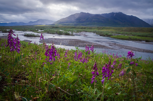 Landscape view of Gates of the Arctic National Park (Alaska), the least visited national park in the United States.