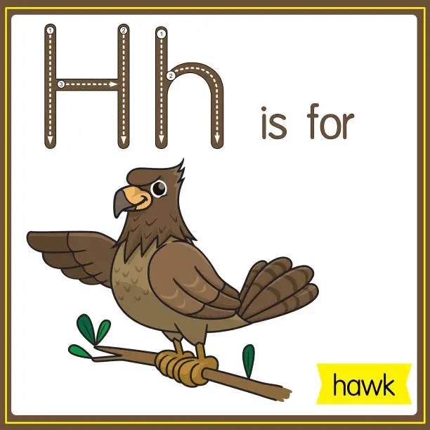 Vector illustration of Vector illustration for learning the alphabet For children with cartoon images. Letter H is for hawk.