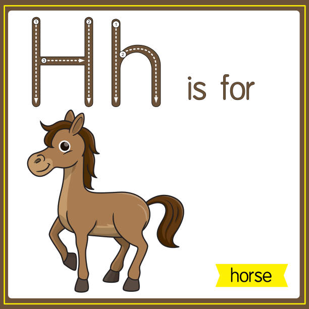 векторная иллюстрация для изучения алфавита для детей с мультяшными картинками. буква h ок. - letter h alphabet education learning stock illustrations