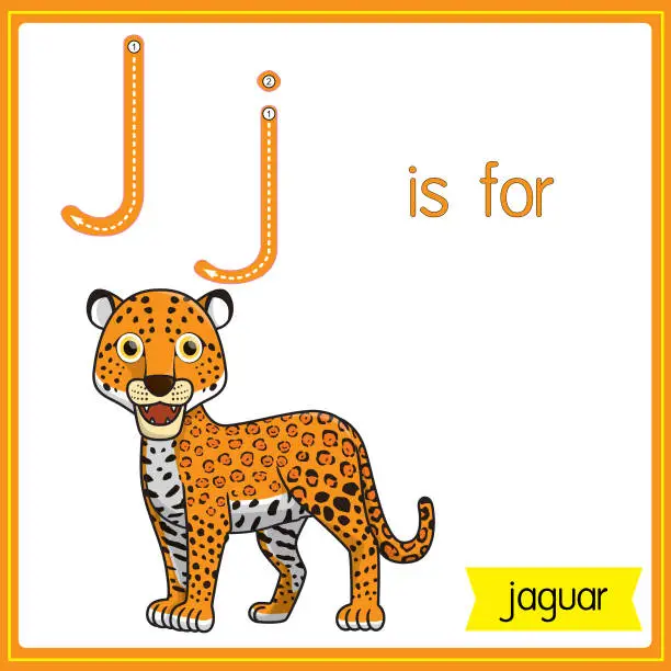 Vector illustration of Vector illustration for learning the alphabet For children with cartoon images. Letter J is for jaguar.
