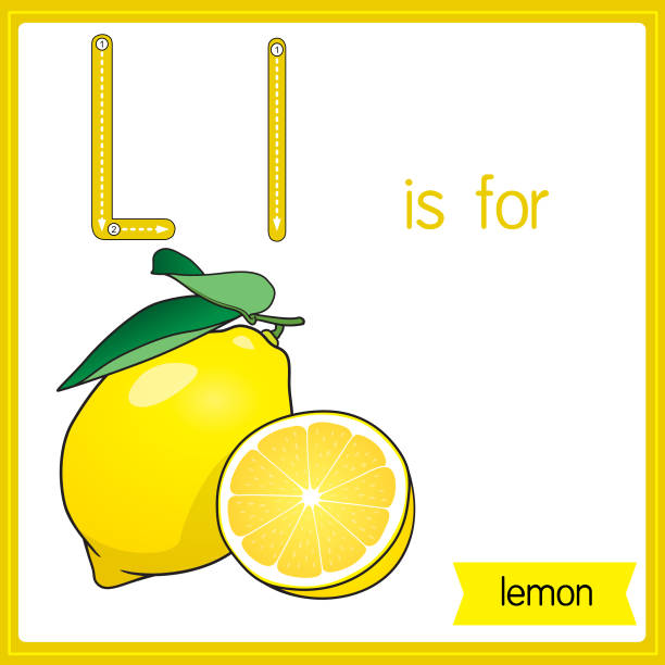 illustrations, cliparts, dessins animés et icônes de illustration vectorielle pour l’apprentissage de l’alphabet pour les enfants avec des images de dessins animés. la lettre l est pour le citron. - lemon fruit citrus fruit yellow