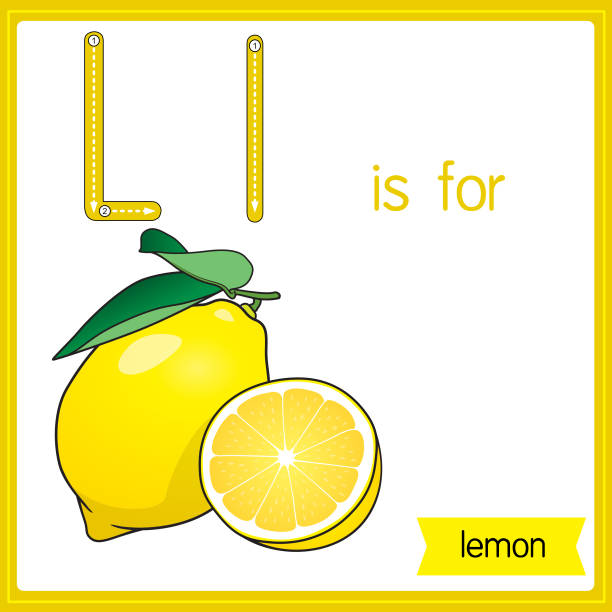 ilustrações de stock, clip art, desenhos animados e ícones de vector illustration for learning the alphabet for children with cartoon images. letter l is for lemon. - tree single word green fruit