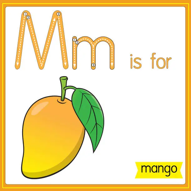 Vector illustration of Vector illustration for learning the alphabet For children with cartoon images. Letter M is for mango.