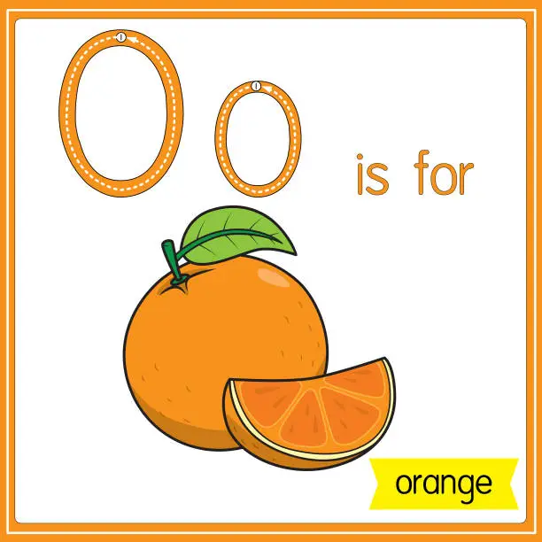 Vector illustration of Vector illustration for learning the alphabet For children with cartoon images. Letter O is for orange.