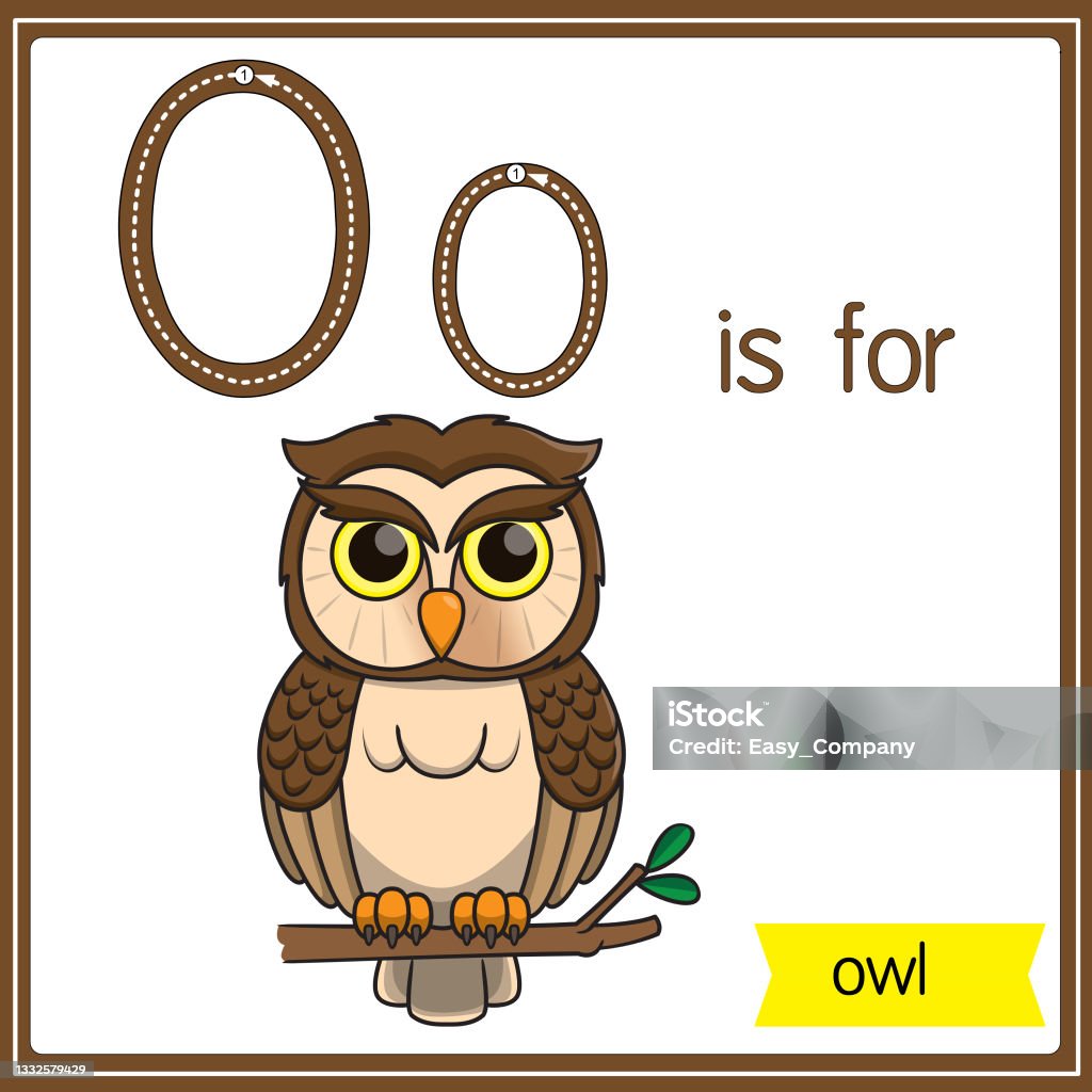 Vector Illustration For Learning The Alphabet For Children With Cartoon  Images Letter O Is For Owl Stock Illustration - Download Image Now - iStock