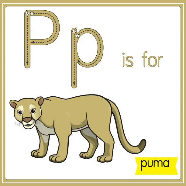 Vector illustration of Vector illustration for learning the alphabet For children with cartoon images. Letter P is for puma.