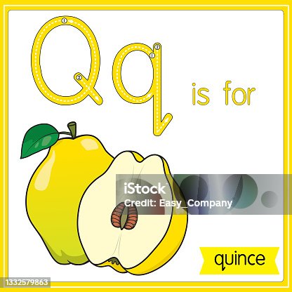 istock Vector illustration for learning the alphabet For children with cartoon images. Letter Q is for quince. 1332579863