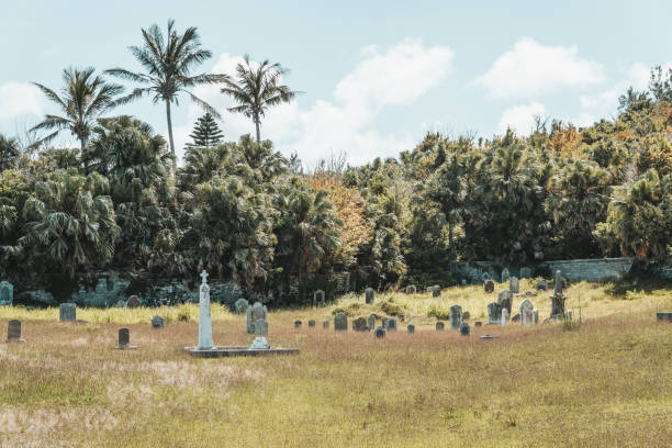 istock cemetery in a tropic environment 1332580535