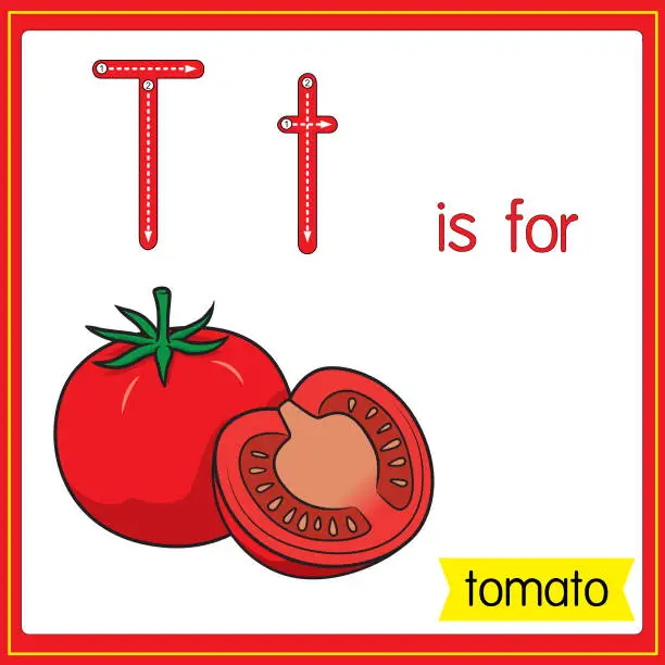 Vector illustration of Vector illustration for learning the alphabet For children with cartoon images. Letter T is for tomato.