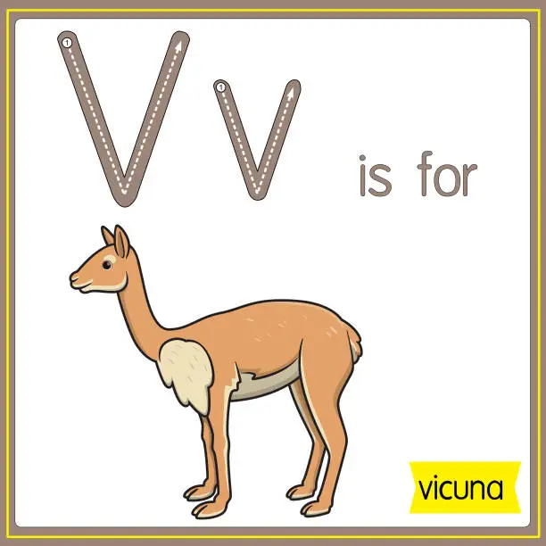Vector illustration of Vector illustration for learning the alphabet For children with cartoon images. Letter V is for vicuna.