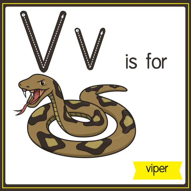 Vector illustration of Vector illustration for learning the alphabet For children with cartoon images. Letter V is for viper.