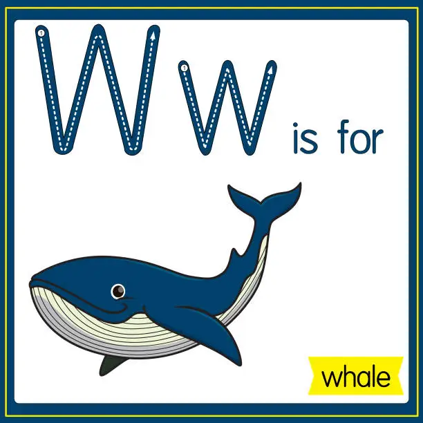 Vector illustration of Vector illustration for learning the alphabet For children with cartoon images. Letter W is for whale.
