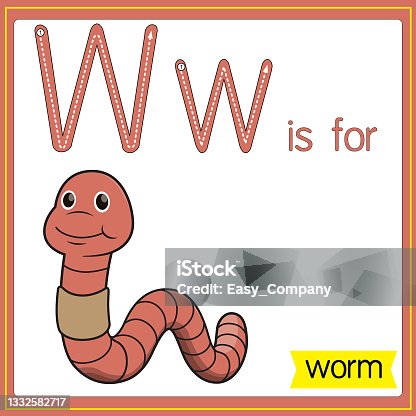 istock Vector illustration for learning the alphabet For children with cartoon images. Letter W is for worm. 1332582717