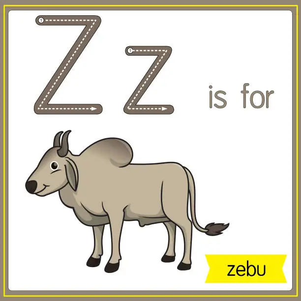 Vector illustration of Vector illustration for learning the alphabet For children with cartoon images. Letter Z is for zebu.