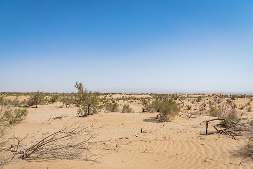desert / sand dune landscape view near Yazd in Iran - desertification, climate change, environment concept image