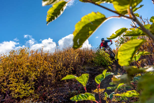 istock View of mountain biker descending through grassy meadow 1332588576