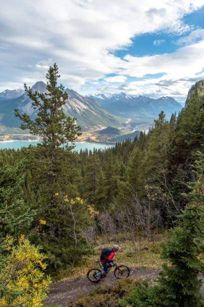 istock View of mountain biker following trail through forest 1332589334