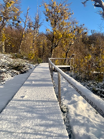 Beautiful winter snow landscape in Patagonia Argentina