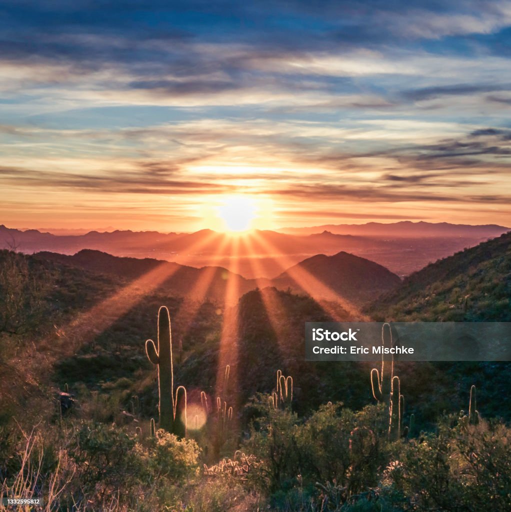 Sunset over the McDowell Sonoran Conservancy Majestic view of colorful a desert sunset with saguaro cactus silhouettes over a valley in the McDowell Mountains in Scottsdale, Arizona. Arizona Stock Photo