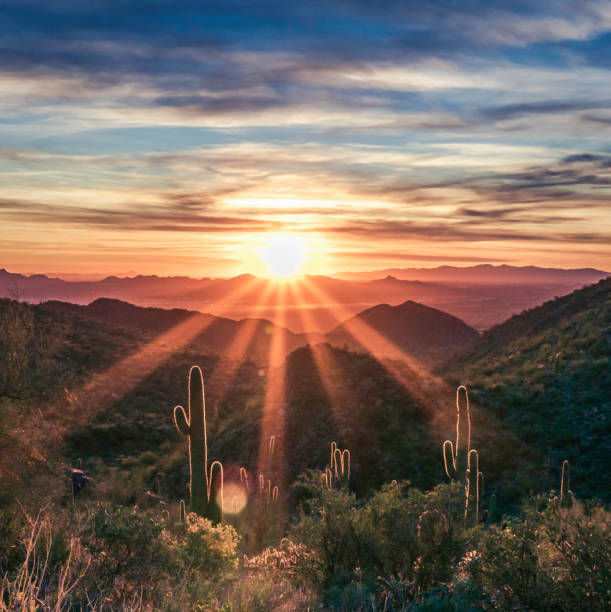 Sunset over the McDowell Sonoran Conservancy Majestic view of colorful a desert sunset with saguaro cactus silhouettes over a valley in the McDowell Mountains in Scottsdale, Arizona. desert stock pictures, royalty-free photos & images