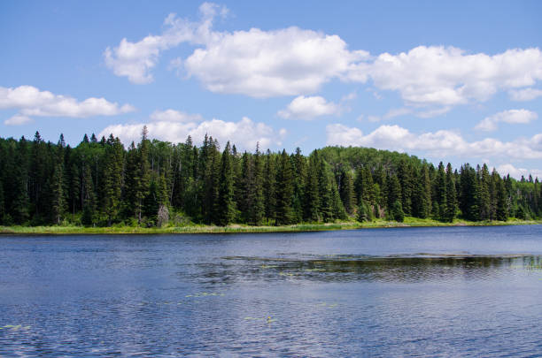 istock lake and forest landscape in manitoba 1332598801