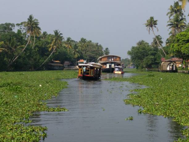 istock Kerala houseboat 1332599532