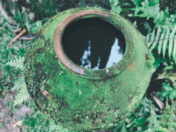 istock Big earthen jar made from clay covered with moss 1332607277