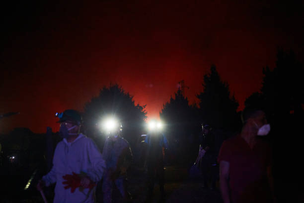 터키 에게 해 지역에 위치한 무울라 산불 - fire department courage forest fire heroes 뉴스 사진 이미지