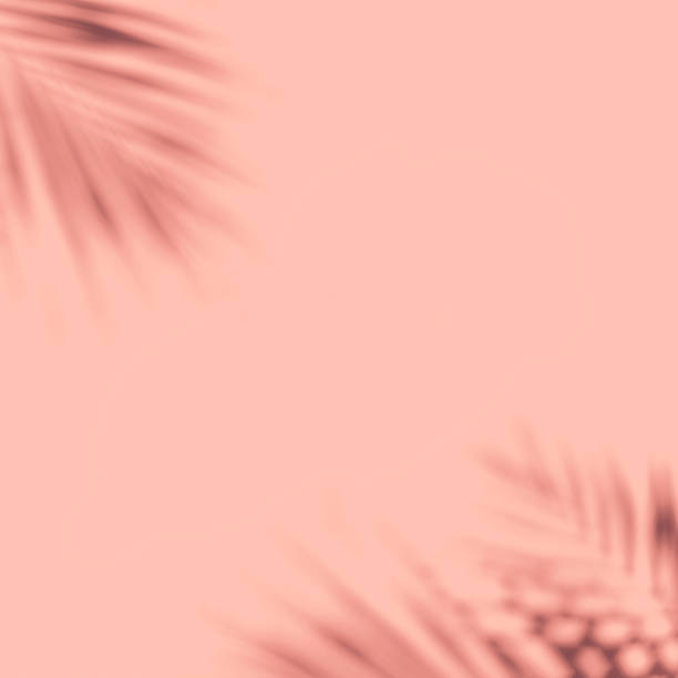 istock Palm tree leaves shadows on pastel background. Nature concept. Minimal Style 1332620167