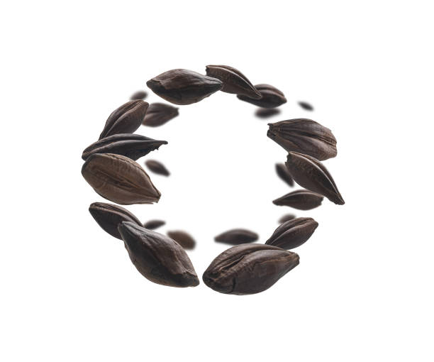 istock Roasted rye malt grains levitate on a white background 1332628384