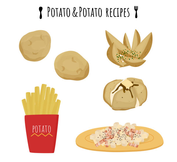 ilustrações de stock, clip art, desenhos animados e ícones de vector illustrations of potatoes, french fries, butter baked potatoes and german fries. - baked potato