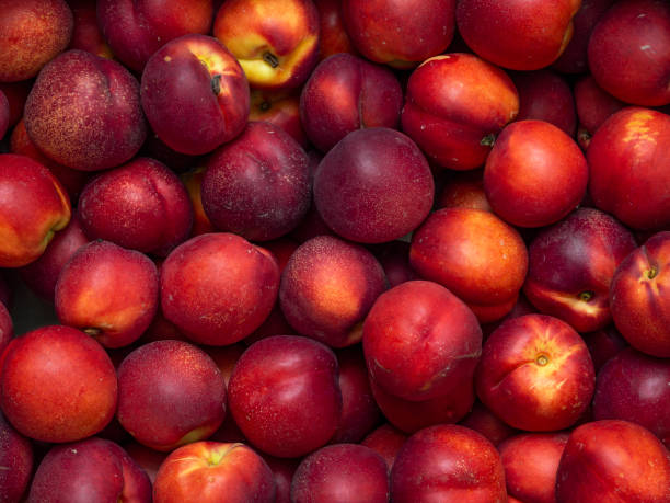 el concepto de cosecha. - nectarine peaches peach abstract fotografías e imágenes de stock