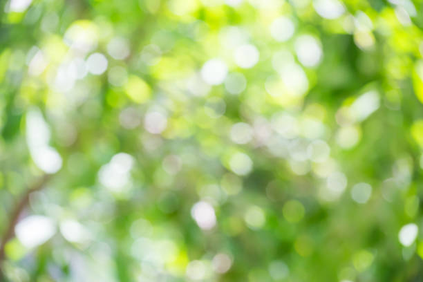 istock green bokeh of nature 1332638053