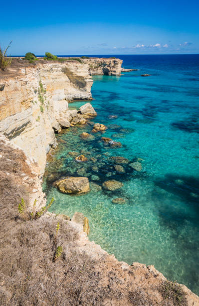 istock Torre Sant Andrea sea view with cliffs, Apulia, Italy 1332639956