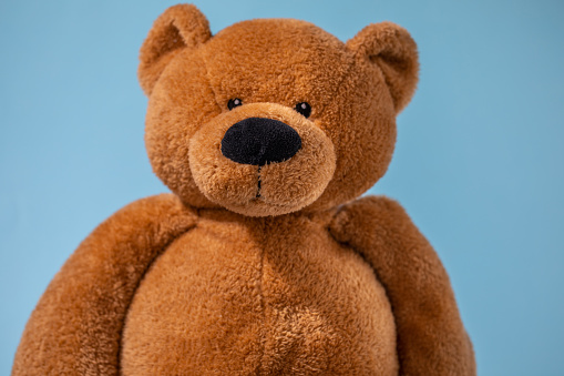 A large lonely ivory-colored teddy bear sits against a white background. Foreground.