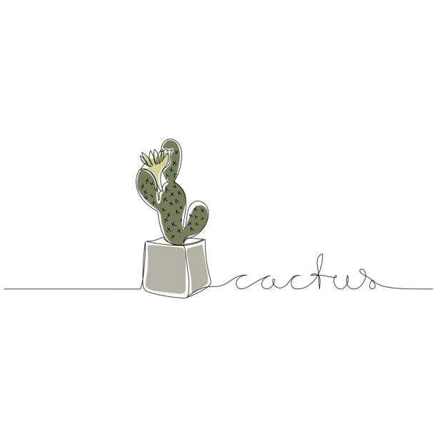 Cactus Line Writing 100+ Cactus Continuous Line Art Stock Photos, Pictures & Royalty-Free ...