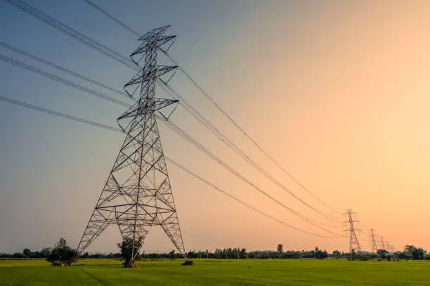 Photo of Arrangement of High voltage pole, Transmission tower on rice field at sunset
