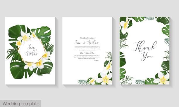 ilustraciones, imágenes clip art, dibujos animados e iconos de stock de vector plantilla de invitación de boda tropical - plumeria