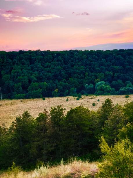 istock Grassy valley with green hills at sunset 1332652989