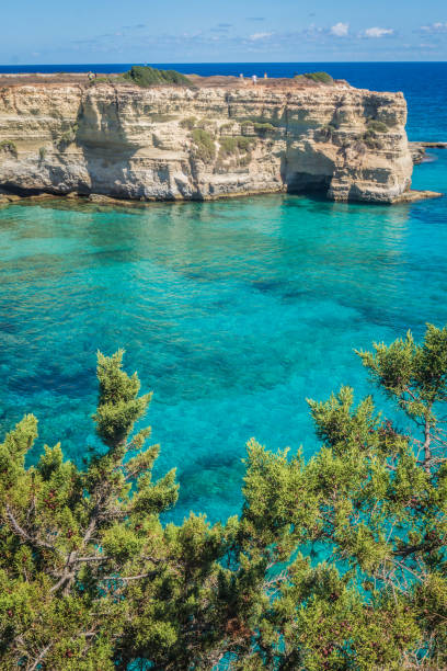 Torre Sant Andrea rocky sea coast with turquoise water and juniper, Apulia Italy Torre Sant Andrea, Salento sea coast, Apulia, Italy. Beautiful rocky Seascape with cliffs and green juniper in Puglia. Blue saturated clear water. Bright Summer day. No people. Faraglioni Melendugno. salento puglia stock pictures, royalty-free photos & images