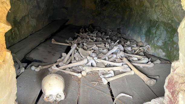 os et crânes de personnes dans l’une des cryptes du village de dargavs, cité des morts, ossétie du nord, russie - caucasus mountains photos et images de collection