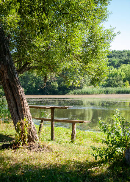 istock Wooden table with benches under green trees by the river 1332663183