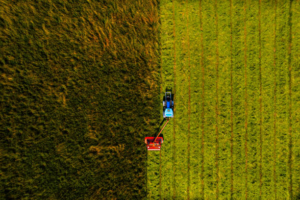 istock The tractor cuts the grass on the meadow 1332663617