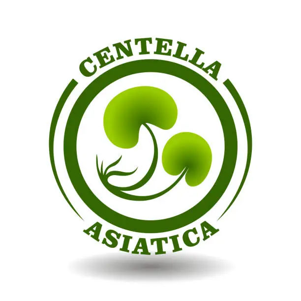 Vector illustration of Vector circle logo Centella Asiatica with green leaves symbol in round pictogram for organic cosmetics sign, natural food labeling tags and aurveda herbal medicine products packaging contain Gotu Cola ingredient