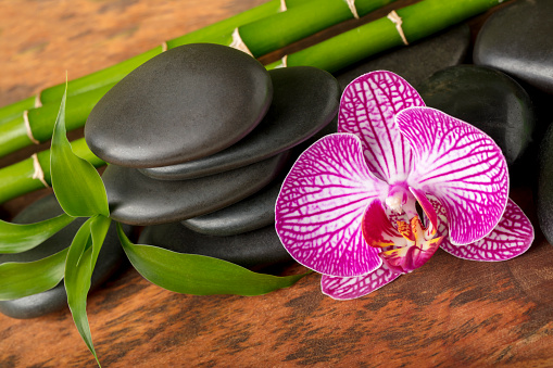 Pink orchid flower, black massage stones and bamboo stems on a wooden texture (mango tree wood).